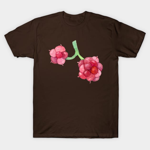 Raspberry dream T-Shirt by runlenarun